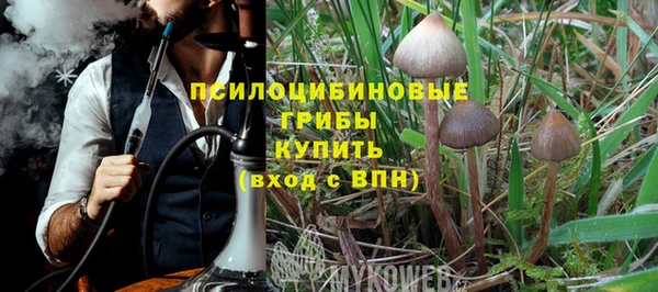 стаф Семикаракорск