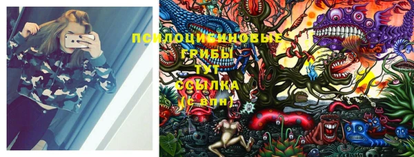 винт Гусев