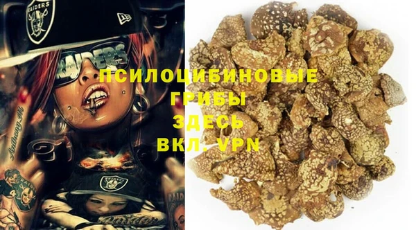 альфа пвп Гусь-Хрустальный