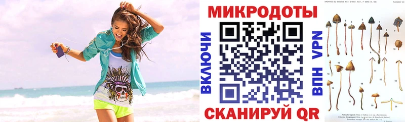 купить наркоту Новозыбков Галлюциногенные грибы Cubensis
